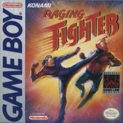 Raging Fighter Rom